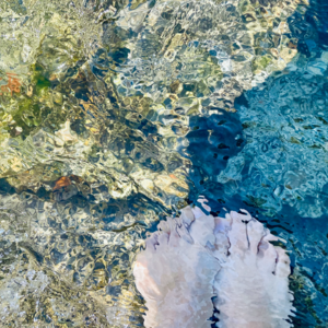 3. 水知道答案 | 去水里吧，让全身的每一个细胞都活泼起来！