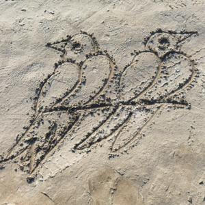 VOL. 028 困顿中的“小小鸟”：比《山丘》更触动我的李宗盛