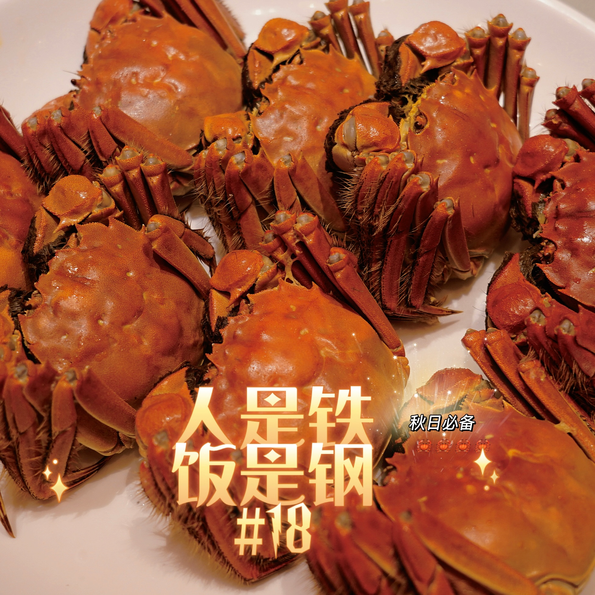 人是铁饭是钢