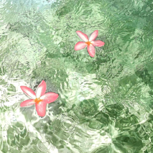 VOL426.四月如此清澈，好似烈酒的反光。