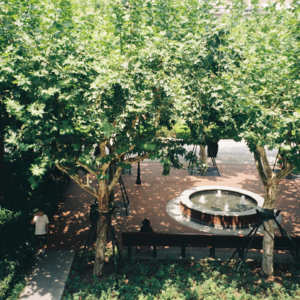 Ep1. 30+未婚女生在Gap期很焦虑怎么办？允许它存在，然后用行动解救自己