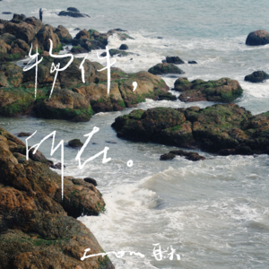 37. 闽南语的触觉是长满青苔的咸湿礁石