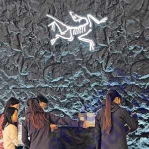 始祖鸟在全球遍地开花，它做对了什么？