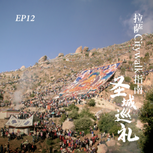 EP12. 拉萨Citywalk指南上:从大昭寺到布达拉的圣城巡礼