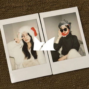 2025年度盘点｜什么？！猫鲨竟然完全不一样