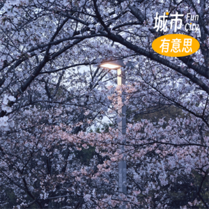 50. 烟花三月下苏杭，但苏和杭又不是一回事