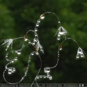 Vol.15 Decayed Summer 消暑