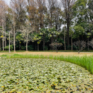 神曲18（净界·第11-12篇）