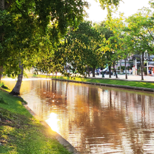 旅行的无意义038☞J人去🇹🇭泰国清迈前的碎碎念