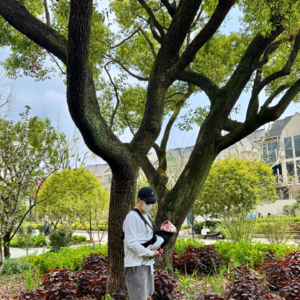 史蒂夫说459期 - 心理科普：为什么40多岁做心理咨询，回报远高于20岁