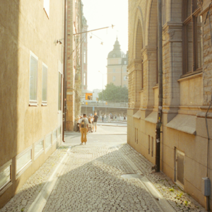 EP211 回声状态网络在日内股票回报预测中的应用