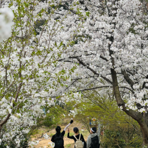 12. 春天就该去徒步！把山野走成动态冥想