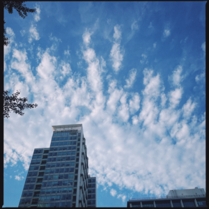 25.我最喜欢的几个服装品牌，反正没少花钱