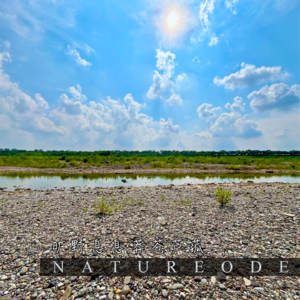 旷野息息·莽苍芦菰