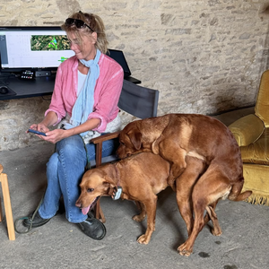 130. 克拉克森的农场5：笑中带泪，明天继续