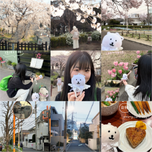 最喜欢偶然遇到的美丽风景 🌸 26.Mar.24