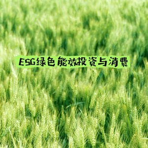 ESG绿色能效投资与消费