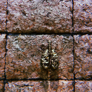 EP.16 吉塞普 佩诺内：“触觉的体验和身体的接触才是事物的真正维度”