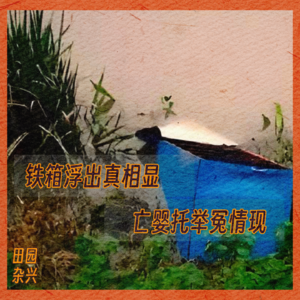 08 铁箱浮出真相显 | 亡婴托举冤情现