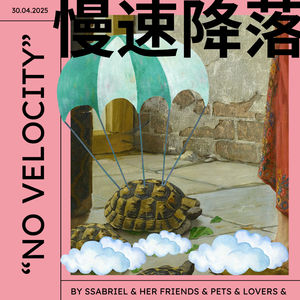 慢速降落 NO VELOCITY