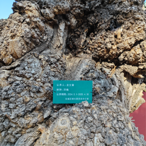 Ep.08 夏天:辞职离开北京,半年旅居后,我更自由了吗?