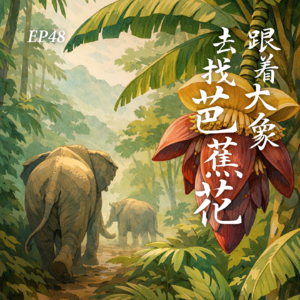 EP48. 跟着大象走，能找到最美味的芭蕉花