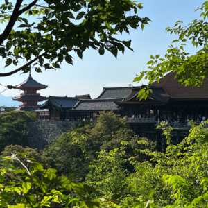 Vol.02: 京都：谁说我是老东西！第二弹