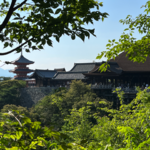 Vol.02: 京都：谁说我是老东西！第二弹