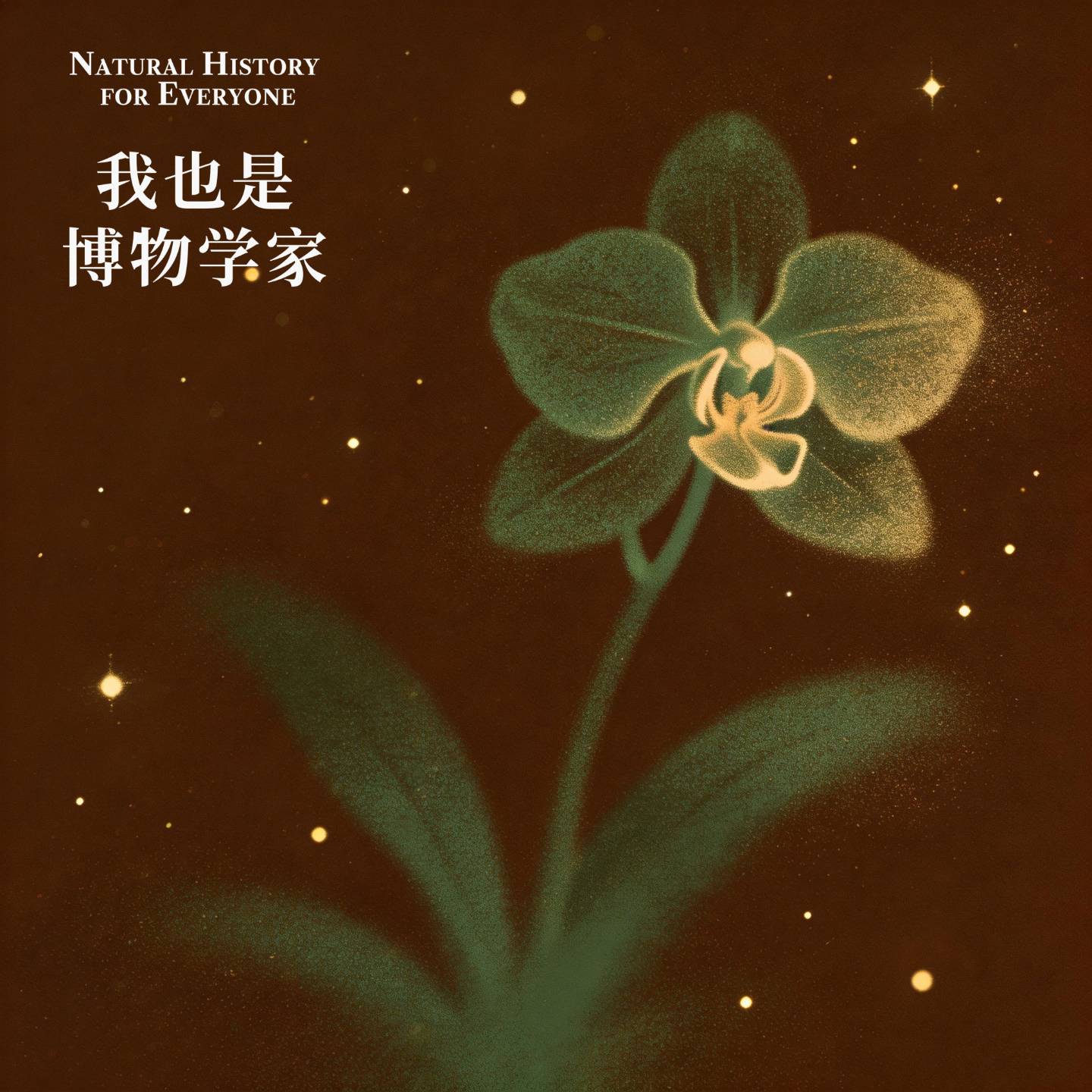 多看几秒钟植物，就会爱上万物｜博物01