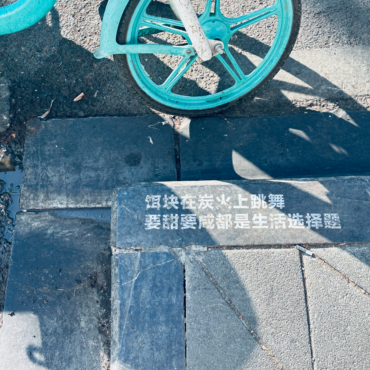 Vol.28 他乡的新年：保山旅行，遇见心的春天