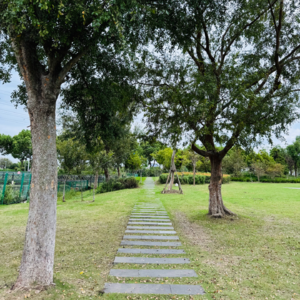 正念休息｜三个饱满的呼吸