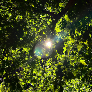 No.74-在三个维度创造新的可能