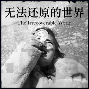无法还原的世界