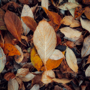 EP193 中国商品市场趋势跟踪策略