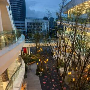 第145期:年轻的此地,棒棒的程璧