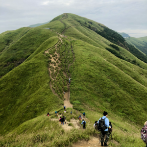 EP39｜打工人集合！山野老炮带你入坑户外徒步登山