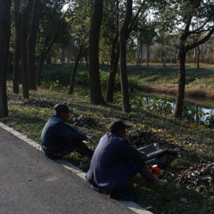 These Days & Lin‘s 的推荐