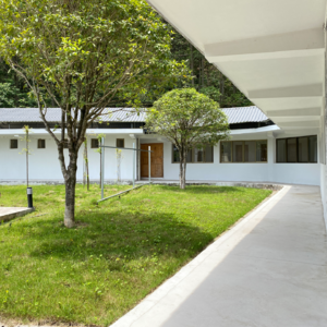 012 | 当代修行人实录：上交手机、禁语10天，我学到了什么？