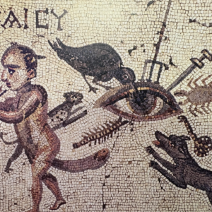 008.情人节、魔法百科和西南蛊术