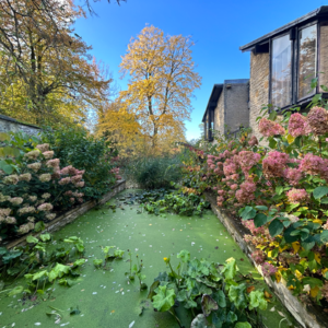 EP07 一分钟顶牌心理测试，让我们更了解自己。你的性格更像乌龟，老鹰，变色龙，还是狮子？