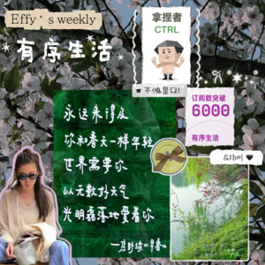 15.低能量自救：慢比快重要，少比多重要