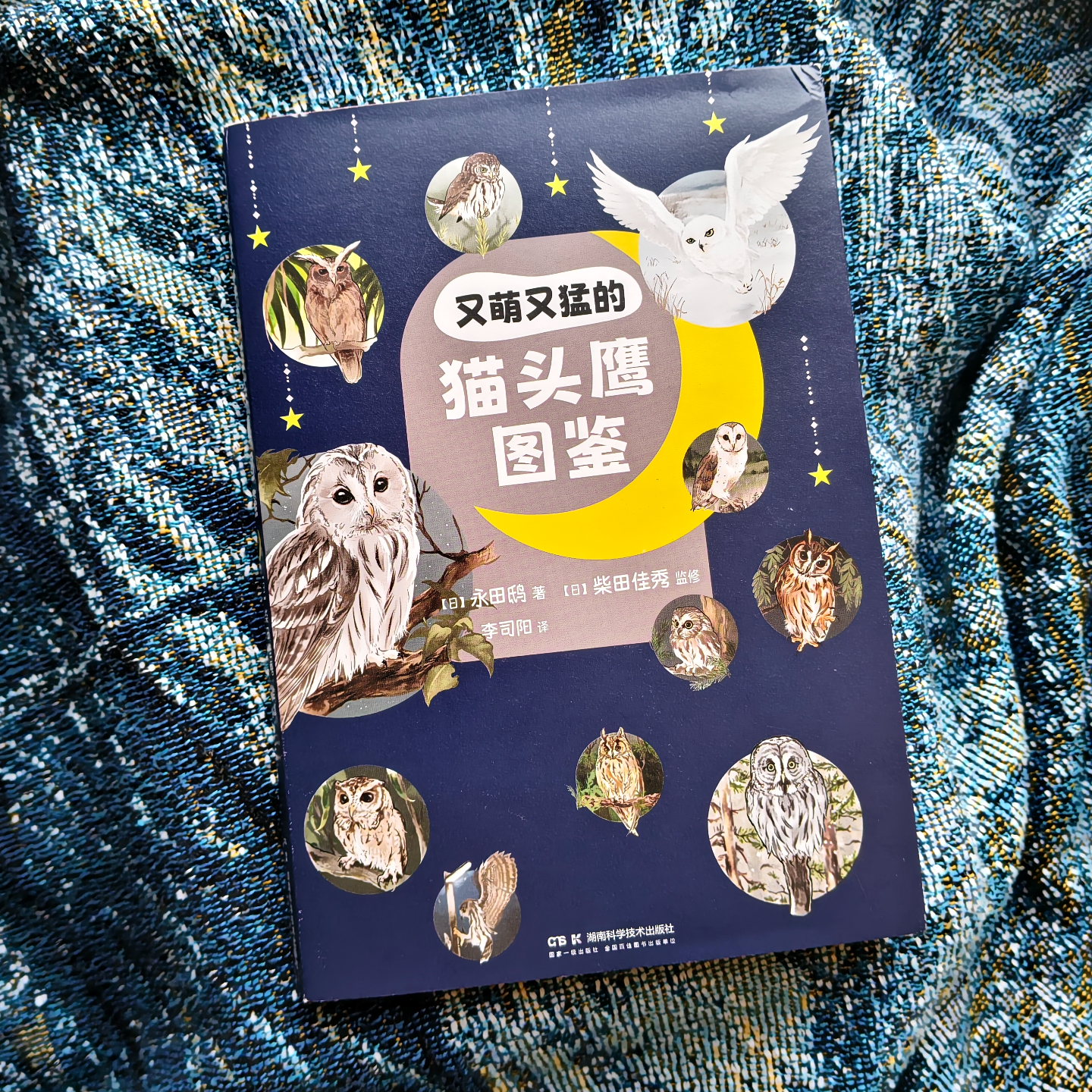 E22.每个人都有属于ta的晚霞与猫头鹰：猫头鹰民俗学杂谈 episode artwork