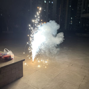 《胆小如鼠》