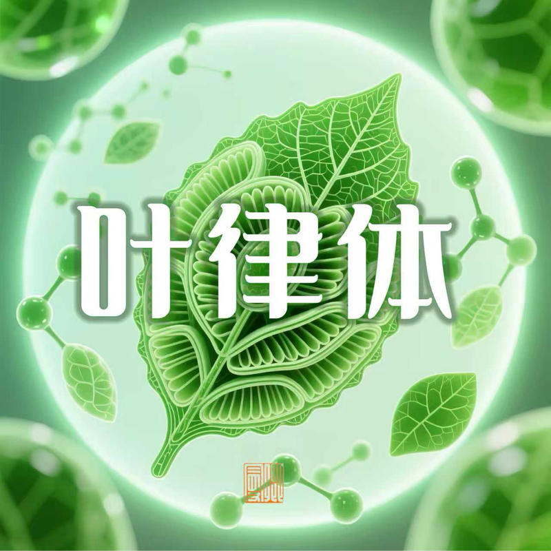 podcast-avatar