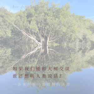 如果我们能和大树交谈，谁还想听人类说话？一条来自亚马逊雨林的语音 | S3E2