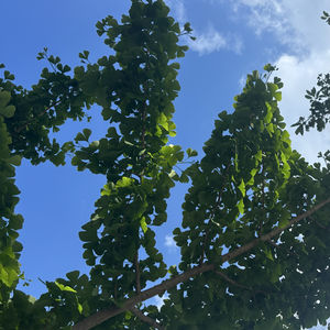 333教育综合凯程框架笔记 第一章第二节六艺教育