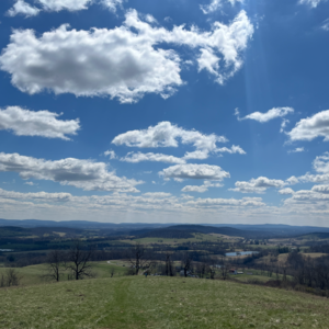 99 可落地的高能量：把生活过成正反馈循环