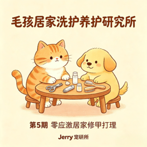 【毛孩居家洗护养护研究所】 第 5 期 零应激居家修甲打理｜指甲、脚垫、腹底毛、肛周毛发全套修剪技巧