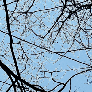 A Bottle of Hoppy at 4 am