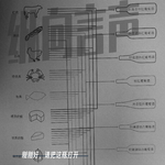 EP.54 刚刚好，请把这瓶打开